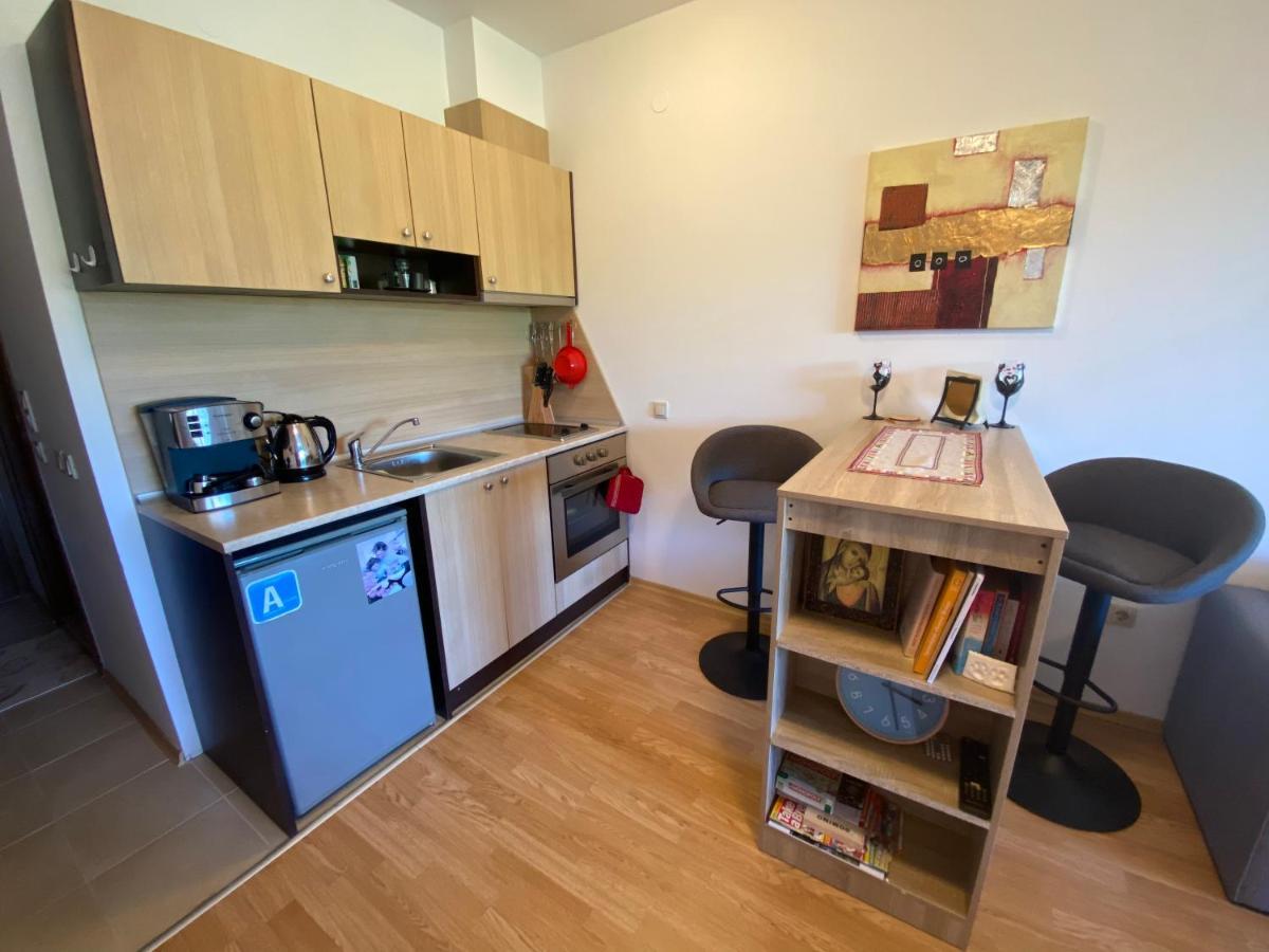 Cosy Studios With Mountain View Near Bansko 拉兹洛格 外观 照片