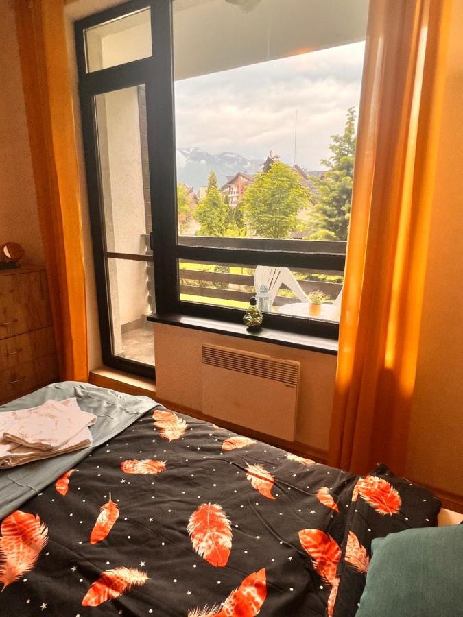 Cosy Studios With Mountain View Near Bansko 拉兹洛格 外观 照片