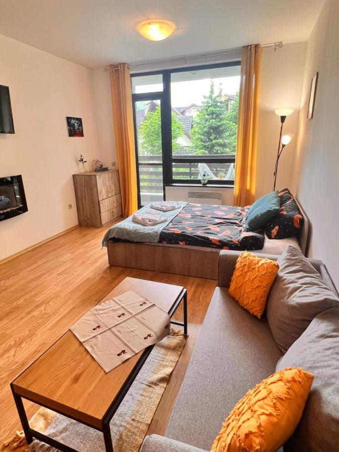 Cosy Studios With Mountain View Near Bansko 拉兹洛格 外观 照片