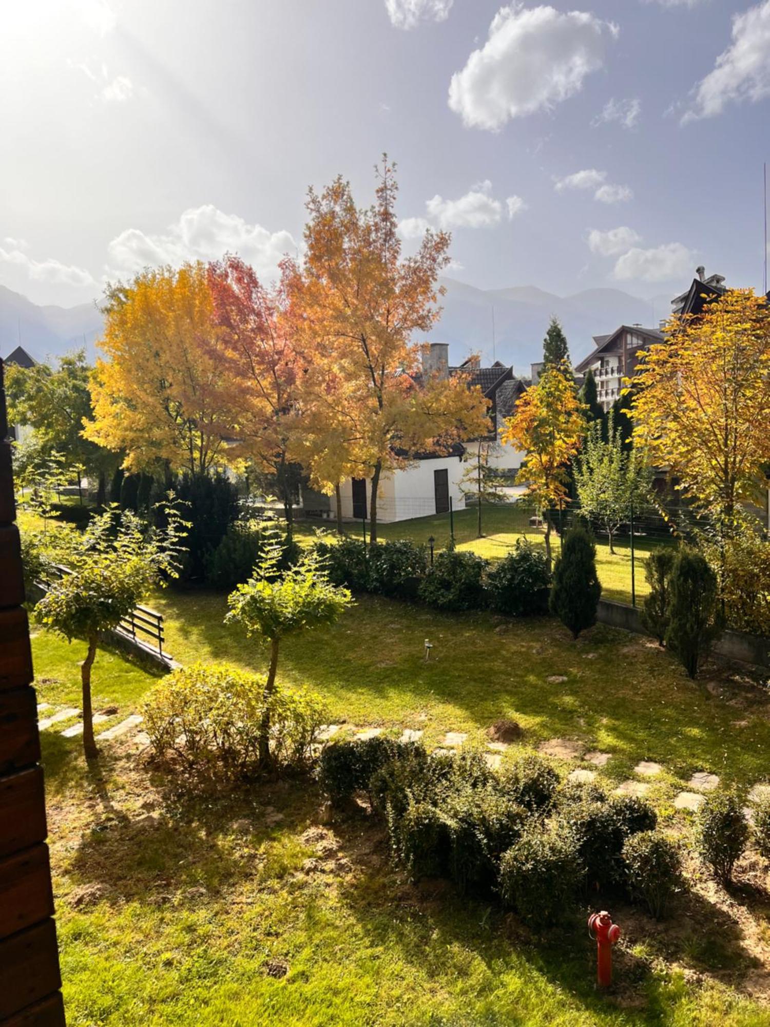 Cosy Studios With Mountain View Near Bansko 拉兹洛格 外观 照片