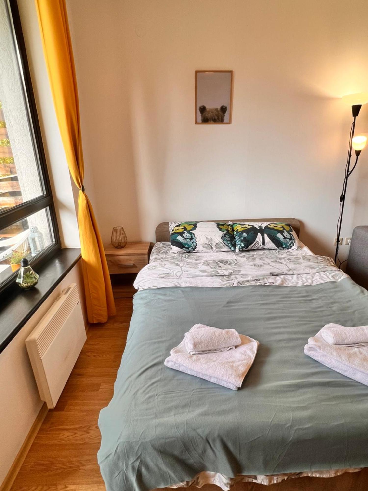 Cosy Studios With Mountain View Near Bansko 拉兹洛格 外观 照片