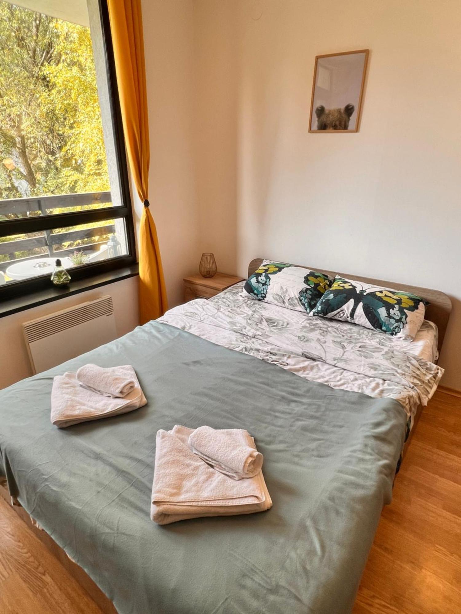 Cosy Studios With Mountain View Near Bansko 拉兹洛格 外观 照片