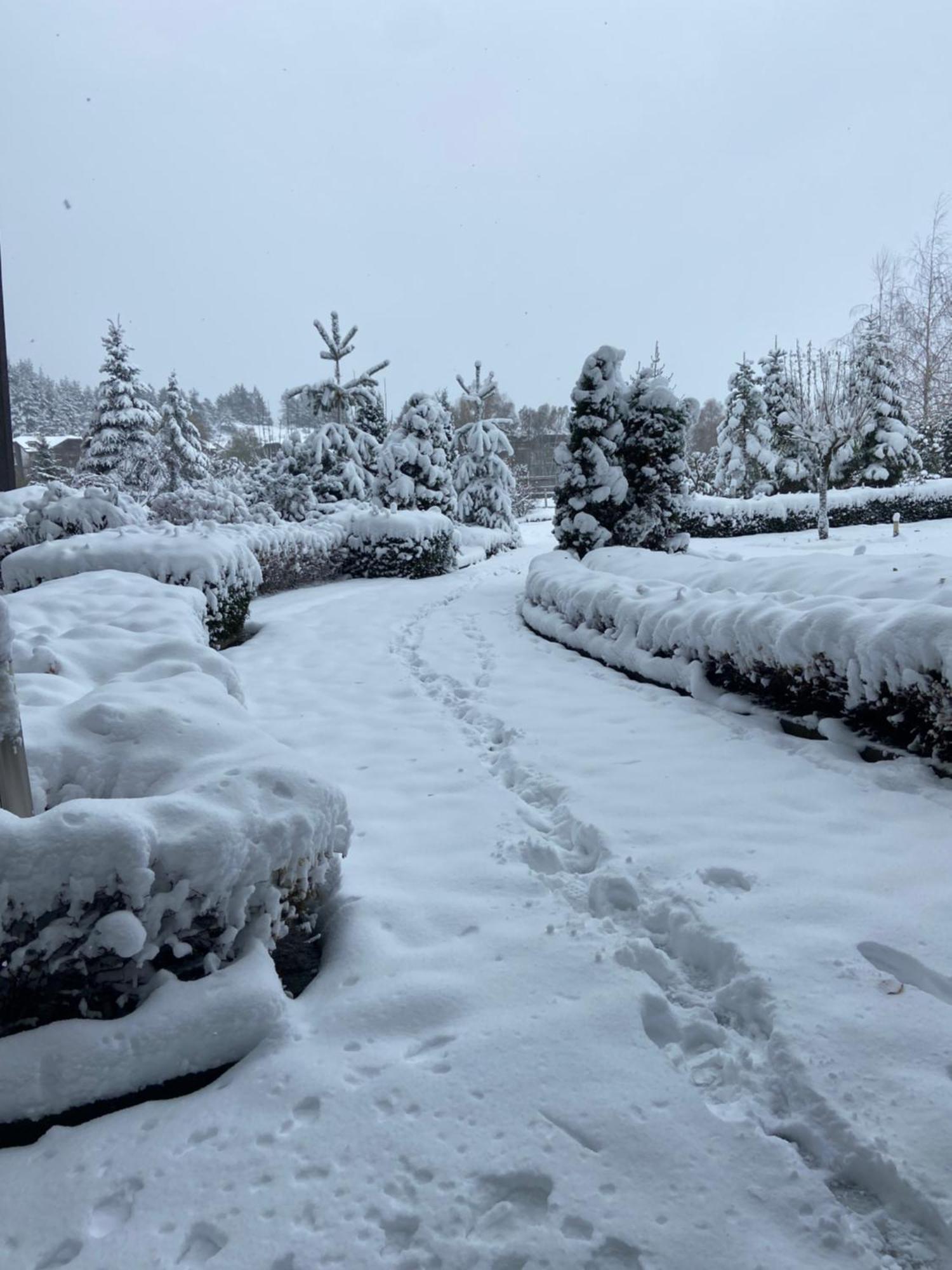 Cosy Studios With Mountain View Near Bansko 拉兹洛格 外观 照片