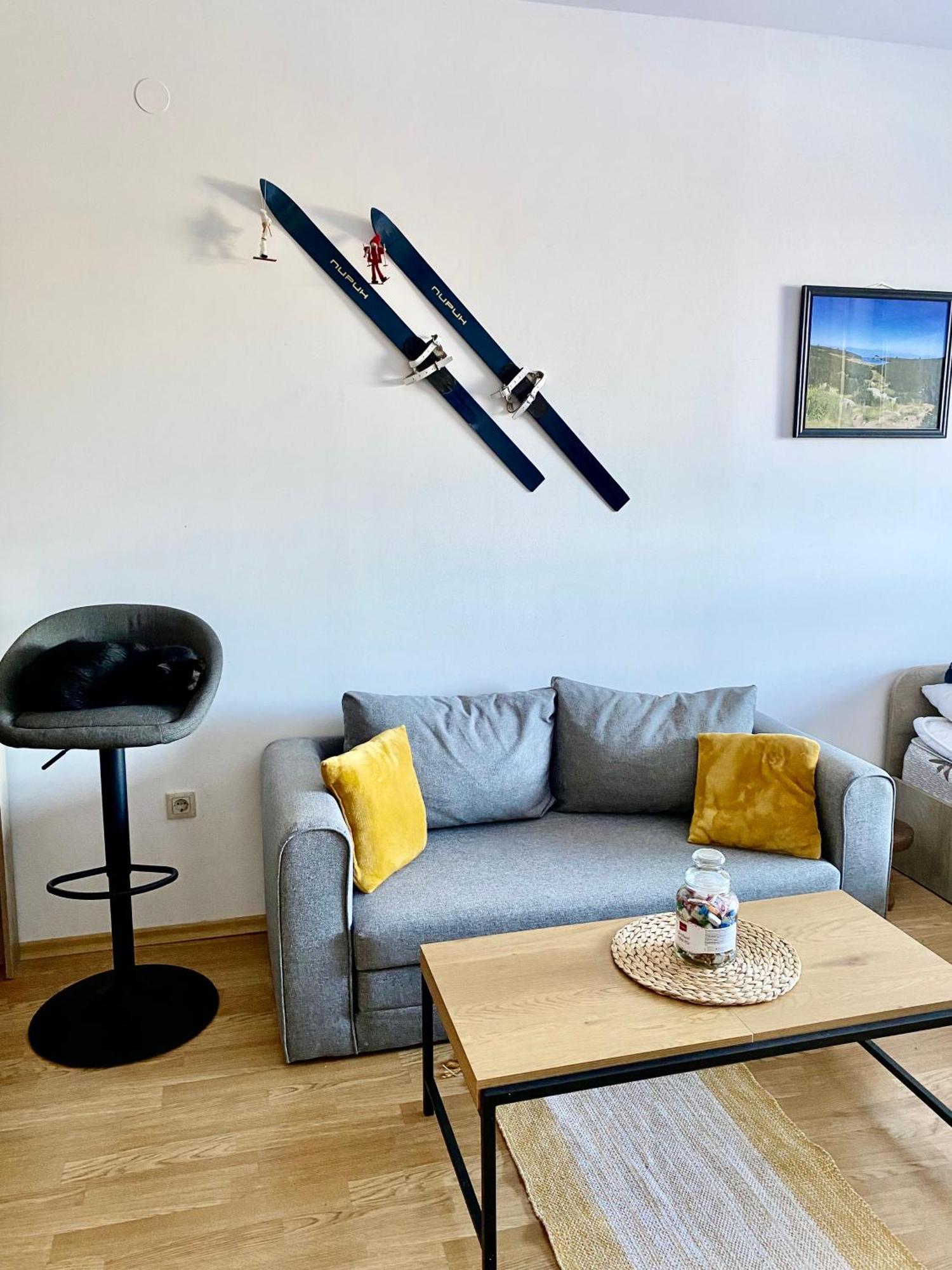 Cosy Studios With Mountain View Near Bansko 拉兹洛格 外观 照片